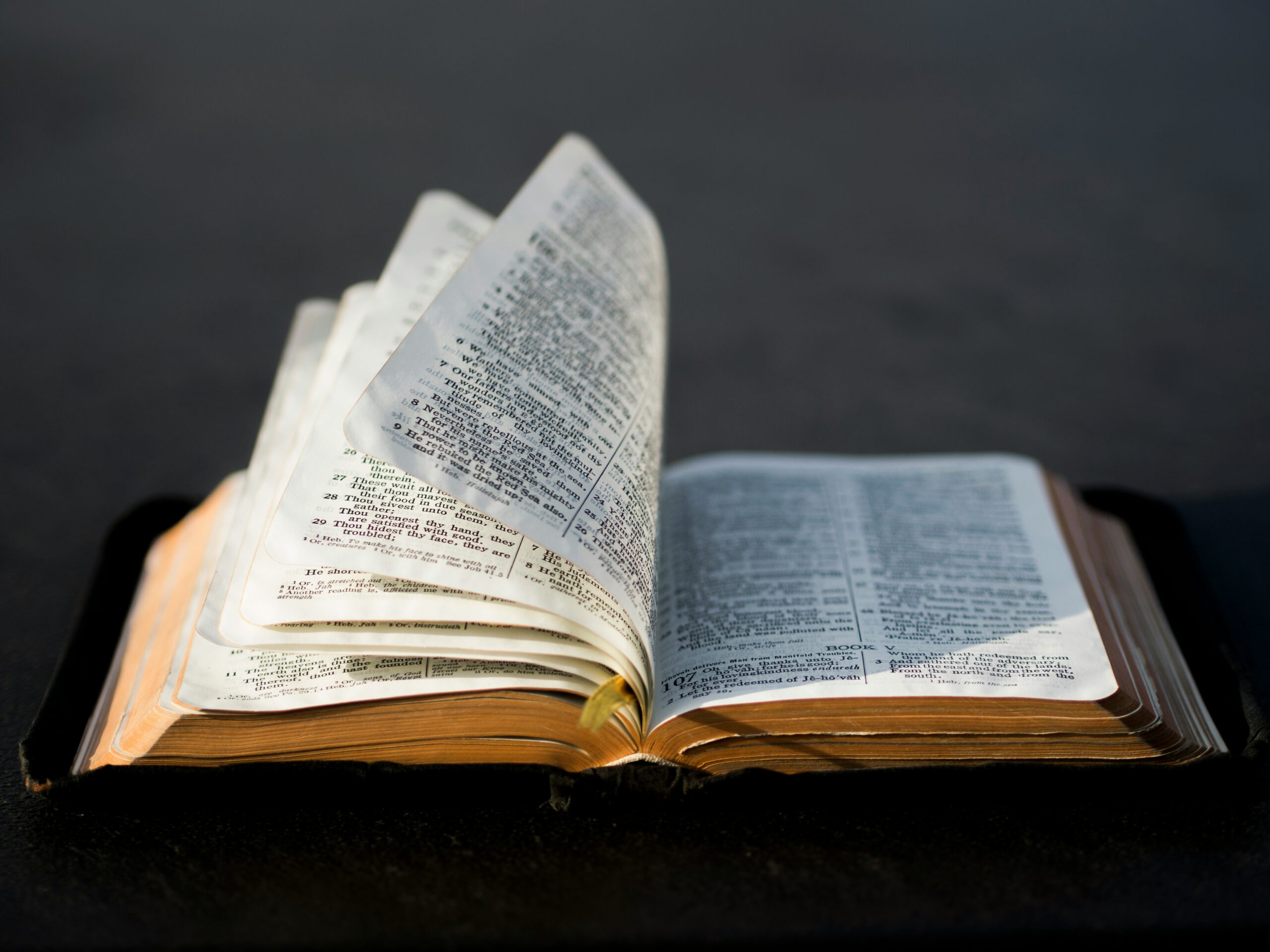 The Hands of Jesus